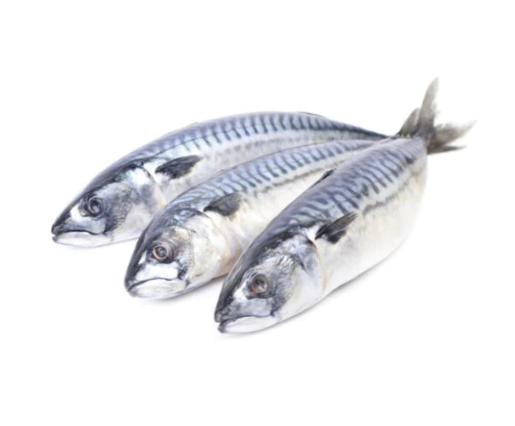 Mackerel Lulu's International Food Market